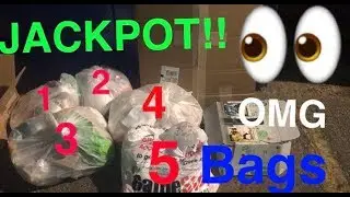 5 BAGS = JACKPOT!!!! GameStop Dumpster Dives Night #9