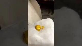 How to make gold chain