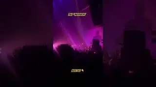 Pulp Performing &lsquo;Underwear&rsquo; live in Amsterdam #pulp #underwear #amsterdam #nine10adventures