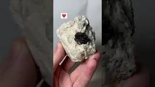 Tantalite Crystal on matrix. || EDENGEMS #crystals