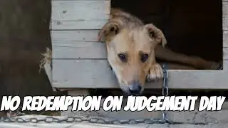 No Redemption on Judgment Day:  The Price of Animal Cruelty