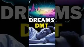 Are Dreams Just Mini DMT Trips?
