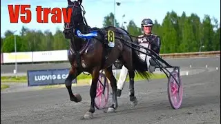 посещение последнего заезда V5&reg; Trot 2025 на конноспортивной арене Манторп.
