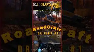 Roadcraft Driving #1