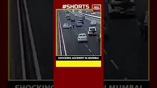 WATCH: Taxi Runs Over 2 People Rescuing Injured Bird On Mumbai's Worli Sea Link | #shorts
