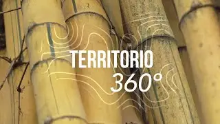 Dise&ntilde;o industrial con proyecci&oacute;n social:  preservaci&oacute;n de la lengua INGA | Territorio 360