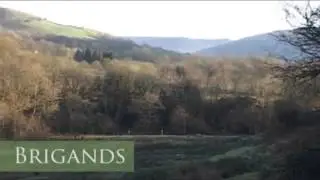 Driven shooting at Brigands Shoot