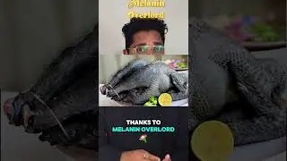 Why This Black Chicken Costs 3X More Than Regular Chicken! | Kadaknath Chicken Explained