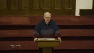 Radical Purity