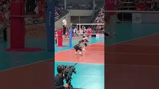 Dawn Macandili-Catindig in action vs Creamline Cool Smashers. 🇵🇭 #pvl #pvl2024 #volleyball #cignal