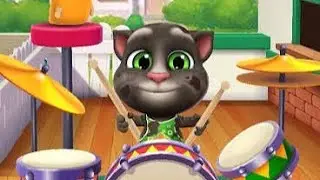 My tom cat live video 