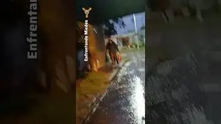 YeND0 A LABURAR LLUVIA #supervivenciaurbana #laburo