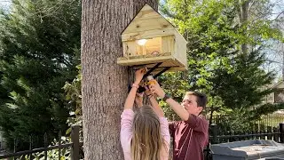 We Made A Squirrel House