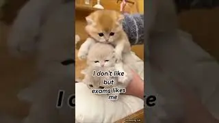 ###exams exams 😒😒😒😒i am tired##@@subscribe # comment 😁😁😁
