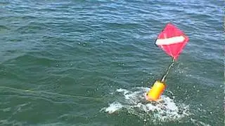 Diver Down Flag