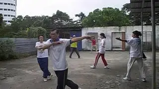 Penang Tai Chi Datuk Keramat Master Lee Chen Style Tai Chi