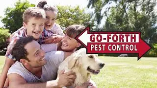 Pest Control Charlotte NC - Exterminators by Go-Forth