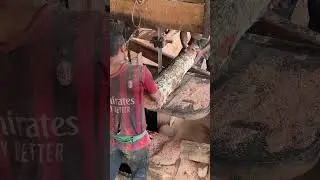 Precision Techniques From Log to Lumber by Expert Sawmill Operators