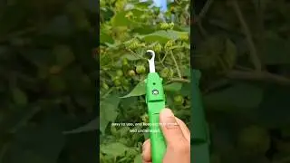 this modern fruit picker #tools #harvest #agriculture
