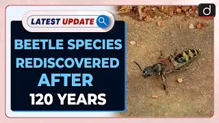 Beetle Species Rediscovered After 120 Years: Latest update | Drishti IAS English
