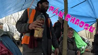 L&aacute;ďa mistr chaosu zav&iacute;tal do kr&aacute;lovstv&iacute; k F&eacute;nixům.