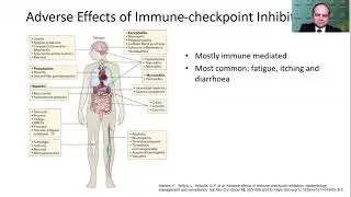 PD-L1 testing for pathologists: an overview