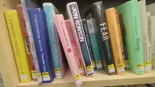 Organizing Library Bookshelves 📚 ASMR