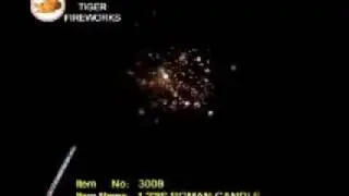 TigerFireworks 1.2inch 8Shot RomanceCandle