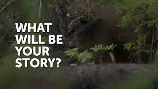 Qu&eacute;bec Outfitters : Black bear hunting experience