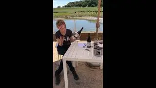Virtual Tastings Sabrine+2017 Swan 828 Pinot