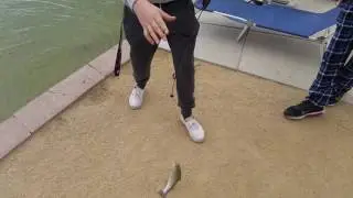Sunset Park fishing