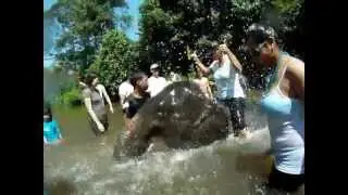 Sarah and I splashing baby elephants in Malaysia