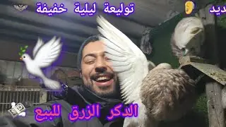 متوقعوش شنو غانبيع 🥹كاين التجارة 💸وسط الليل كاينا الولاعة 🕊نحبكم في الله الماليع 🔥💸🕊