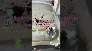 #cutecore #cutegore #waterfountain #school #water