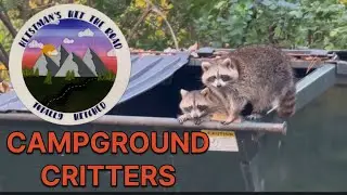 CAMPGROUND CRITTERS | JACK O&rsquo;LANTERN BLAZE | #rvliving 
