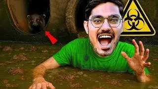 Will The Bull Attack Me सांड को लाल कपड़ा दिखाने पे क्या होगा 10 Myths in Real Life