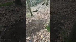 Todays spot for digging #mtbbuild #bicycle #bike #mtbbike #mountainbike