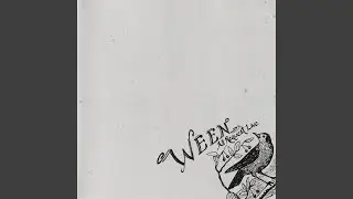 Reggaejunkiejew (Live)