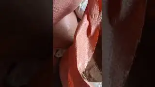 Materials litsea glutinosa bark for making Joss Powder