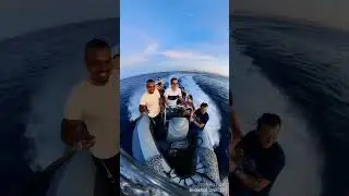 Diving Speed Boat Is A Unique Experience