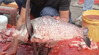 I never seen II giant katol fish cutting skill #fish #fishcutting #fishingvideo #fishing 
