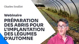 Les secrets d&rsquo;une bonne implantation de l&eacute;gumes d&rsquo;automne sous abri 🌿