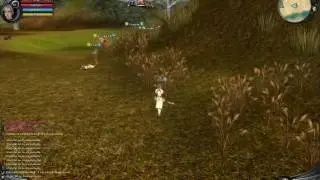 Speed Hack Shaiya LAT Pvp1-15 (37)