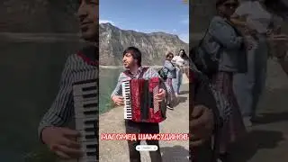 Магомед Шамсудинов