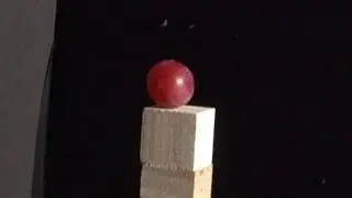 Shooting a grape and lime fruit - slow motion