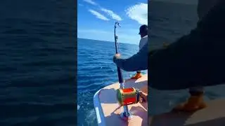 Hook, Line, and Healing &ndash; Veterans on the Water 🎣