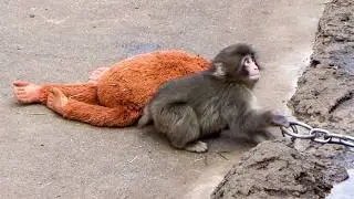 Bullied in a Moment&hellip;What Punch Did Next Will Melt Your Heart