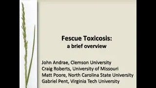 Tall Fescue Toxicosis: Symptoms and Causes-Craig Roberts