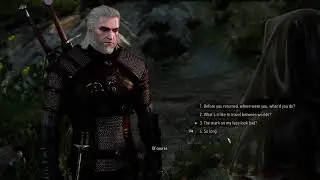 The Witcher 3   The Daily monster hunt challenge & Multi Companion Mods