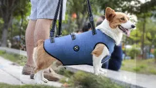 COODEO Dog Lift Harness, Pet Support & Rehabilitation Sling.
